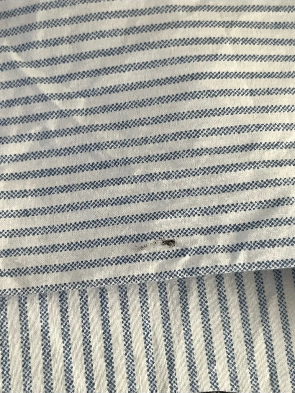 Ralph Lauren Teddy Bear Cotton Twin bedsheet set  in Blue and White